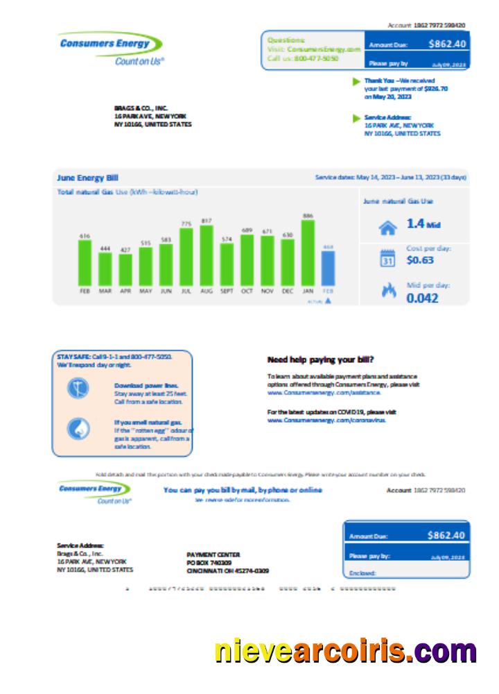 Michigan Consumers Energy business utility bill